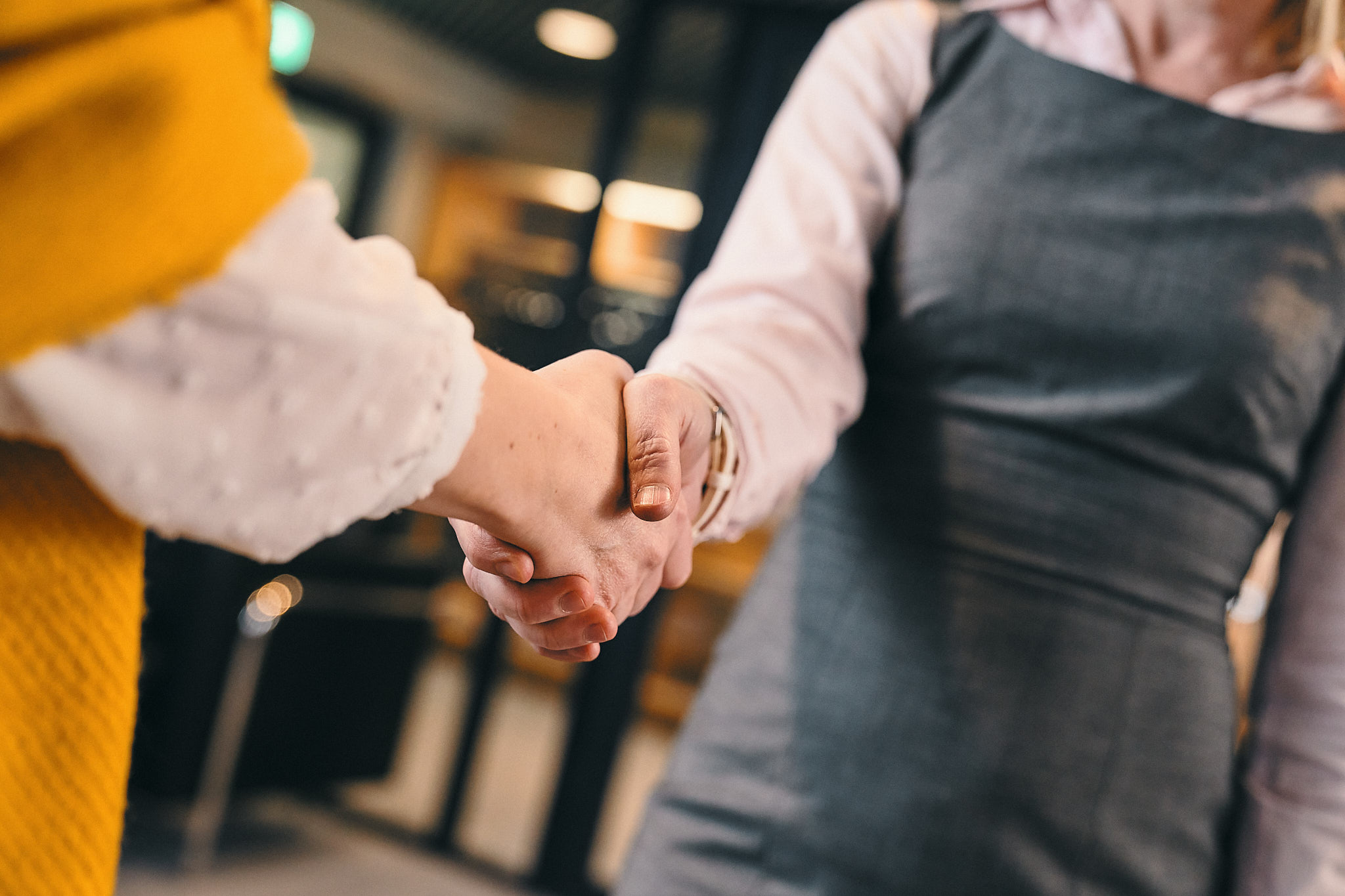 Two people shaking hands.